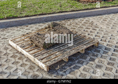 Stapel von Rasen Rasen rollt für einen Rasen, auf Holzpalette gestapelt. Stockfoto