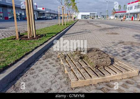 Stapel von Rasen Rasen rollt für einen Rasen, auf Holzpalette gestapelt. Stockfoto