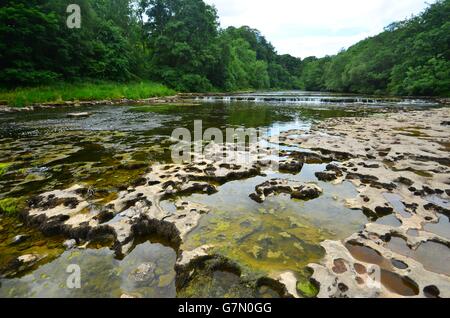 Wasserfälle bei Aysgarth fällt North Yorkshire Stockfoto