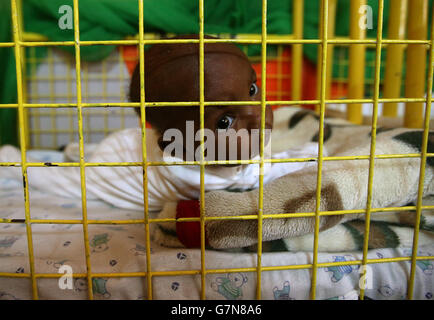 Übung-Askari-Sturm Stockfoto