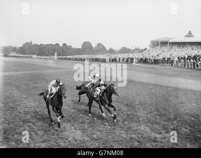 Der Königspalast (4), Sandy Barclay, gewinnt mit einem kurzen Vorsprung von Taj Dewan (l.), Yves Saint-Martin, als Sir Ivor (5), Lester Piggott, als Dritter nach Hause kommt Stockfoto