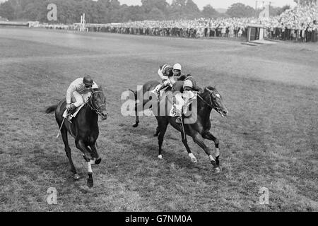 Horse Racing - die Eclipse Stakes - Sandown Stockfoto