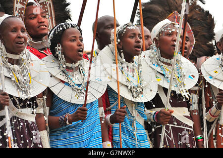 Maasai singen und zeigen ihre traditionellen täglichen Kleider Stockfoto