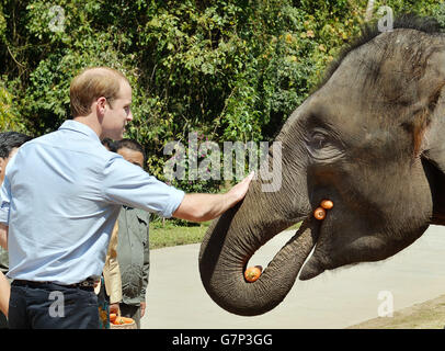 Der Herzog von Cambridge füttert Karotten zu Ran Ran, eine 13-jährige Elefantenweibin Xishuangbanna Heiligtum in Südchina. Stockfoto