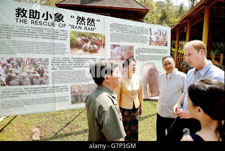 Der Herzog von Cambridge spricht mit dem Management-Team nach dem Treffen mit RAN RAN, einer 13-jährigen Elefantendammin im Heiligtum von Xishuangbanna in Südchina. Stockfoto