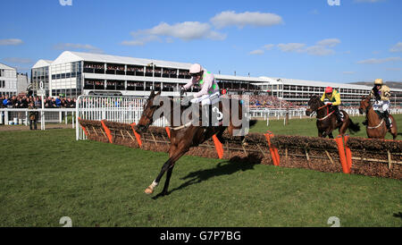 Horse Racing Champion - 2015 Cheltenham Festival - Tag - Cheltenham Racecourse Stockfoto