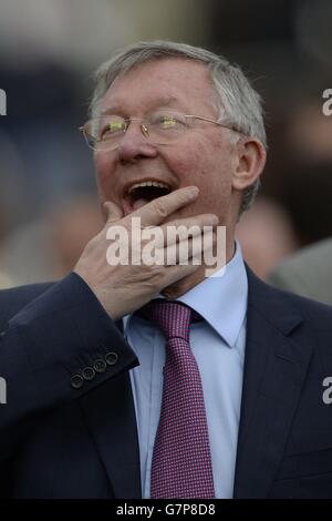 Pferderennen - 2015 Cheltenham Festival - St. Patrick's Day - Cheltenham Rennbahn. Sir Alex Ferguson am St. Patrick's Day während des Cheltenham Festivals auf der Pferderennbahn Cheltenham. Stockfoto