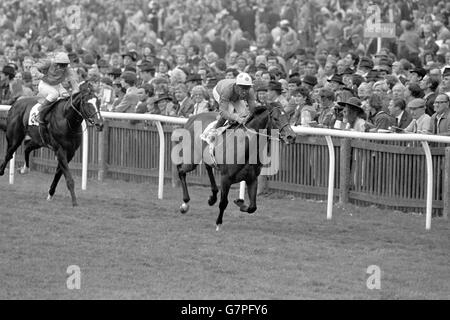 El Gran Senor (r), Pat Eddery, kommt nach Hause, um von Chief Singer (l), Ray Cochrane, zu gewinnen Stockfoto