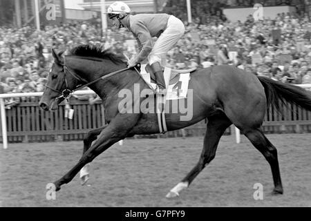 Pferderennen, 2000 Guineas, Newmarket. El Gran Senor, Pat Eddery up, Gewinner der 2000 Guineas Stockfoto