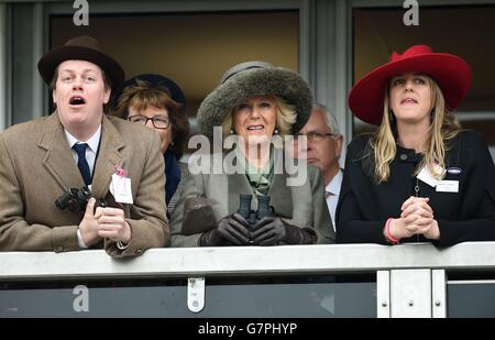 Horse Racing - 2015 Cheltenham Festival - Ladies Day - Cheltenham Racecourse Stockfoto