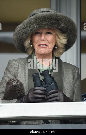 Die Herzogin von Cornwall beobachtet die Hürde der Neptune Investment Management Novizen am Ladies Day während des Cheltenham Festivals auf der Cheltenham Rennbahn. Stockfoto