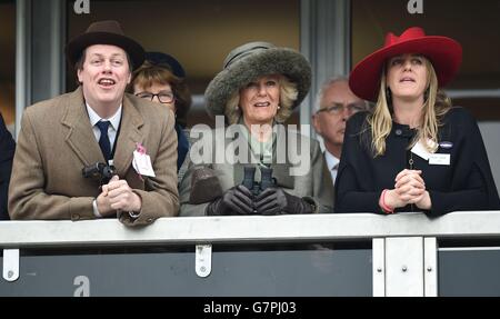 Horse Racing - 2015 Cheltenham Festival - Ladies Day - Cheltenham Racecourse Stockfoto