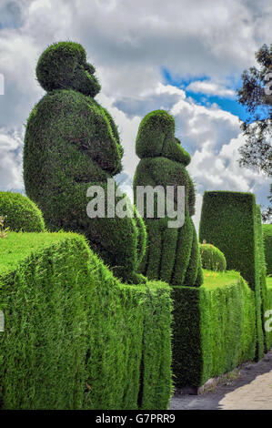 Tulcan ist bekannt für die aufwendigsten Hecke In der neuen Welt, Ecuador, Südamerika Stockfoto