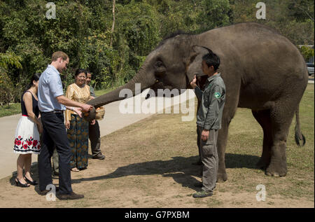 Der Herzog von Cambridge füttert Karotten zu Ran Ran, eine 13-jährige Elefantenweibin Xishuangbanna Heiligtum in Südchina. Stockfoto