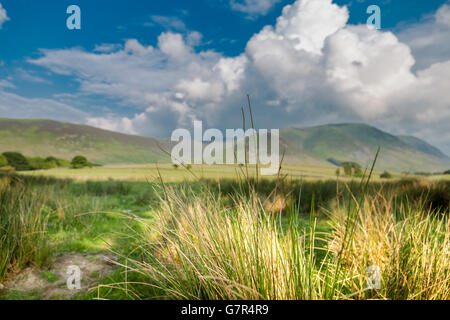 Grass Ährchen auf unscharfen Hintergrund mit Wolken und Berge Stockfoto