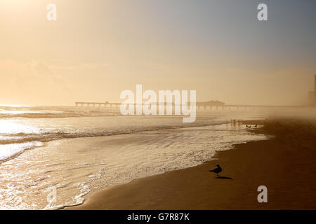 Daytona Beach in Florida Küste mit Pier USA Stockfoto