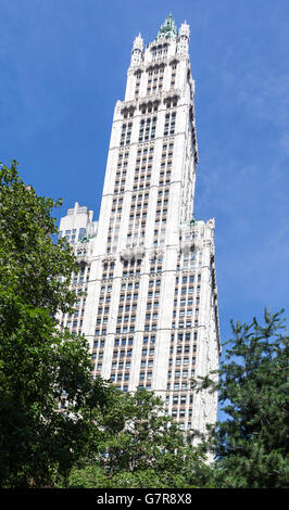 Das Woolworth Building in New York City Stockfoto