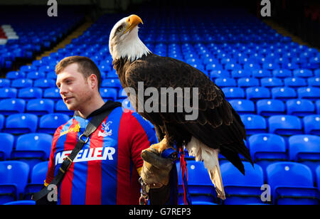 Crystal Palace Maskottchen Kayla der Adler wird von einem ihrer Handler Robert Savage während des Barclays Premier League Spiel im Selhurst Park, London gehalten. DRÜCKEN Sie VERBANDSFOTO. Bilddatum: Samstag, 14. März 2015. Siehe PA Story SOCCER Palace. Bildnachweis sollte lauten: John Walton/PA Wire. Während des Barclays Premier League-Spiels im Selhurst Park, London. DRÜCKEN Sie VERBANDSFOTO. Bilddatum: Samstag, 14. März 2015. Siehe PA Story SOCCER Palace. Bildnachweis sollte lauten: John Walton/PA Wire. Stockfoto