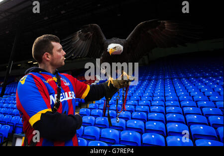 Crystal Palace Maskottchen Kayla der Adler wird von einem ihrer Handler Robert Savage während des Barclays Premier League Spiel im Selhurst Park, London gehalten. DRÜCKEN Sie VERBANDSFOTO. Bilddatum: Samstag, 14. März 2015. Siehe PA Story SOCCER Palace. Bildnachweis sollte lauten: John Walton/PA Wire. Während des Barclays Premier League-Spiels im Selhurst Park, London. DRÜCKEN Sie VERBANDSFOTO. Bilddatum: Samstag, 14. März 2015. Siehe PA Story SOCCER Palace. Bildnachweis sollte lauten: John Walton/PA Wire. Stockfoto