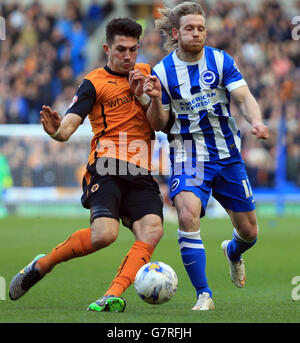 Fußball - Sky Bet Championship - Brighton und Hove Albion gegen Wolverhampton Wanderers - AMEX Stadium. Wolverhampton Wanders' Danny Batth (links) fordert Craig Mackail-Smith von Brighton und Hove Albion heraus Stockfoto