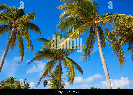 Key West Florida Strand Clearence S Higgs-Denkmal in USA Stockfoto