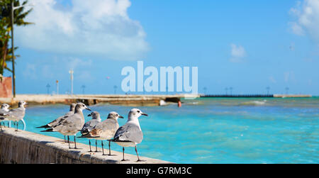 Key West Florida Strand Clearence S Higgs-Denkmal in USA Stockfoto