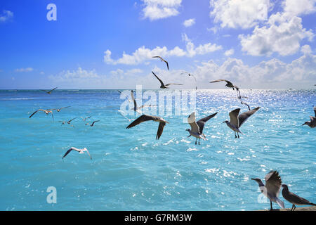 Key West Florida Strand Clearence S Higgs-Denkmal in USA Stockfoto