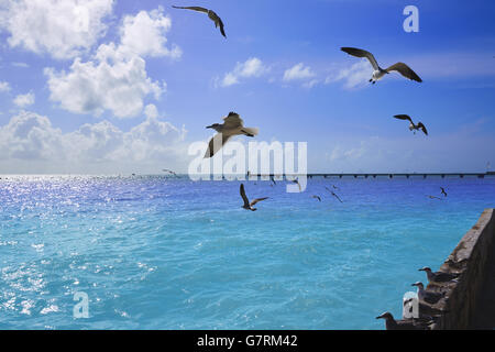 Key West Florida Strand Clearence S Higgs-Denkmal in USA Stockfoto