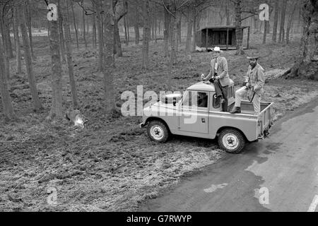 Tourismus - Longleat Safari Park Tag der offenen Tür - Marquess of Bath Stockfoto