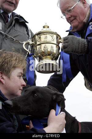 Hare Coursing - Waterloo Cup. Die Besitzer und Trainer von Greyhound Sashi werden nach dem Ende der Harecoursings-Premiere mit dem Waterloo Cup überreicht. Stockfoto