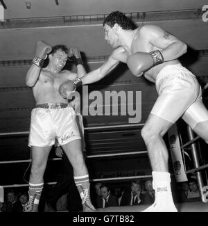 Boxing - Schwergewichts-Kampf - Noel Quarless V John L. Gardner - Bloomsbury Crest Hotel, London Stockfoto