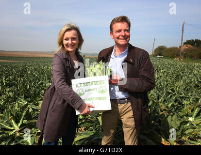 Parlamentswahlen 2015 Kampagne - 10. April Stockfoto