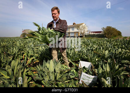 Parlamentswahlen 2015 Kampagne - 10. April Stockfoto