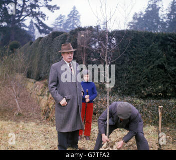 Der ehemalige Premierminister Harold Macmillan sieht zu, wie ein Magnolienbaum, ein Geschenk zum 70. Geburtstag, in seinem Haus, Birch Grove, Sussex, gepflanzt wird. Stockfoto