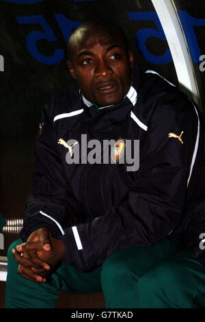 Fußball - Internationale Freundschaften - Kamerun gegen Senegal - Stade Dominique Duvauchelle. Pierre Webo, Kamerun Stockfoto