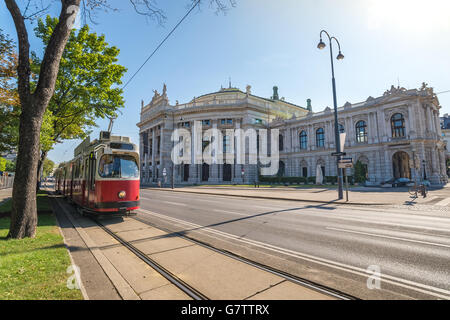 Straßenbahn und Burgtheater, Wien, Österreich Stockfoto