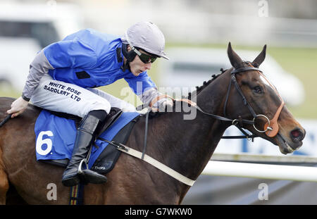 Horse Racing - 2015 Korallen schottische Grand National Festival - Tag eins - Ayr Racecourse Stockfoto