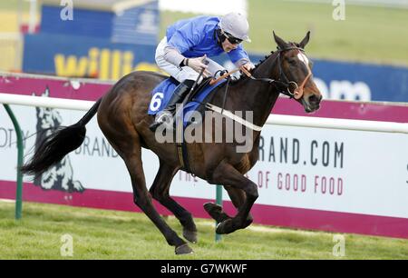 Aye gut geritten von Jockey James Reveley Gewinner des Porcelanosa Scotland Novices' Limited Hanicap Steeple Chase während des Coral Scottish Grand National Festival 2015 auf der Ayr Racecourse. Stockfoto