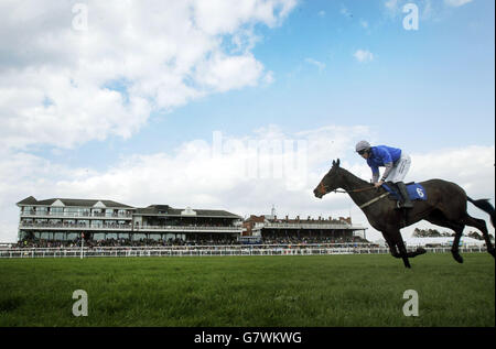 Horse Racing - 2015 Korallen schottische Grand National Festival - Tag eins - Ayr Racecourse Stockfoto