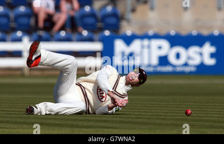 Surreys Kevin Pietersen scheitert beim LV=County Championship Division Two Match im SWALEC Stadium, Cardiff. Stockfoto