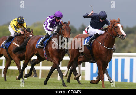 Bondi Beach wird von Seamie Heffernan (Mitte) auf dem Weg zum Gewinn der irischen katholischen Zeitung Maiden auf der Leopardstown Racecourse, Dublin, Irland, gefahren. Stockfoto