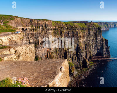 Cliffs of Moher, Co. Clare, Irland Stockfoto