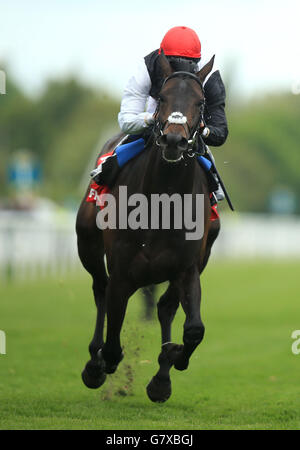 Pferderennen - 2015 Dante Festival - Betfred Dante Stakes Day - York Racecourse. Das von William Buick gerittene Goldene Horn gewinnt am zweiten Tag des Dante Festivals auf der York Racecourse, York, die Betfred Dante Stakes. Stockfoto