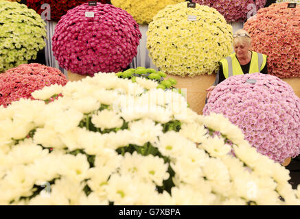 2015 RHS Chelsea Flower show Stockfoto