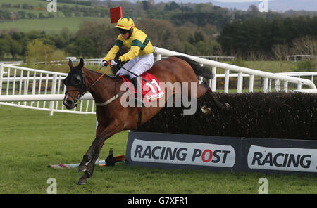 Pferderennen Sie - Punchestown Festivals 2015 - die Queally-Gruppe feiert 35 Jahre in Naas Punchestown Champion Hurdle Tag - s... Stockfoto