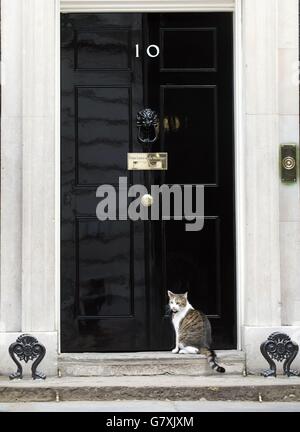 Larry, die Katze vor der Downing Street 10, London, während Großbritannien heute bei den unsichersten Parlamentswahlen seit Jahrzehnten an die Wahlurne geht, ohne dass eine Partei auf Kurs ist, um einen klaren Sieger zu werden. Stockfoto