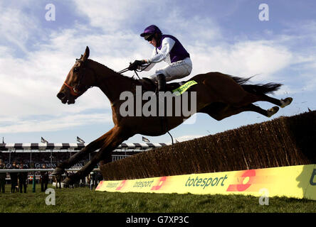 Jockey Barry Geraghty räumt den letzten auf tritt King, um weiter zu gehen und den totesport Cheltenham Gold Cup Steeplechase zu gewinnen. Stockfoto