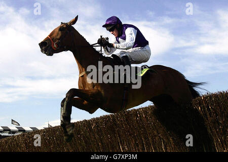 Jockey Barry Geraghty räumt den letzten auf tritt King, um weiter zu gehen und den totesport Cheltenham Gold Cup Steeplechase zu gewinnen. Stockfoto