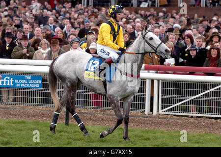 Pferderennen Sie - Cheltenham Festival 2005 - Cheltenham Racecourse Stockfoto