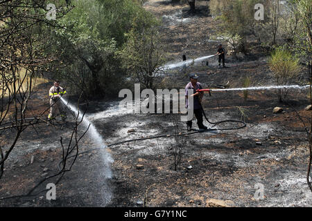 Athen. 27. Juni 2016. Griechische Feuerwehr unterstützt von Wasser fallen Flugzeuge und Hubschrauber Kampf ein Lauffeuer in der Nähe von Athen am 27. Juni 2016. Das Feuer, das am Samstag brach hat verbrannten Waldgebiete und Ackerland und Wohngebieten im Moment nicht bedroht. © Marios Lolos/Xinhua/Alamy Live-Nachrichten Stockfoto